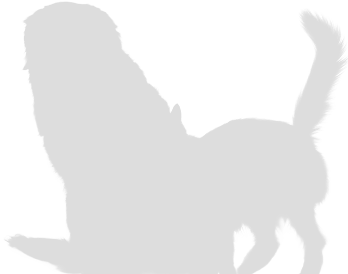 footer-img-1