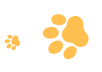 foot-prints