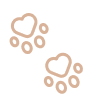 banner-icon